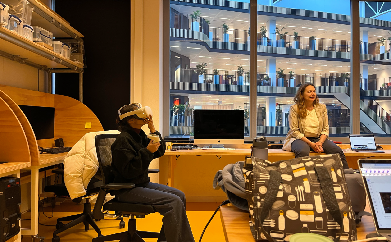 Meta Advisor consultation — Interview with Dr. M.S. Vosmeer