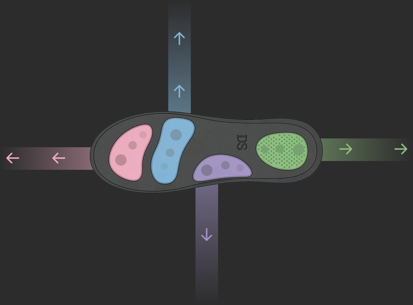 3D render of the Dansense haptic sole — beige insole with colour-coded pressure zones for toe, ball, arch, and heel